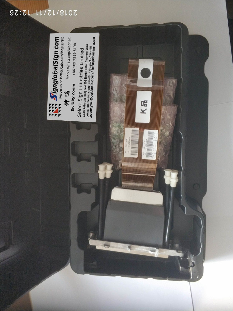 dx5 mimaki