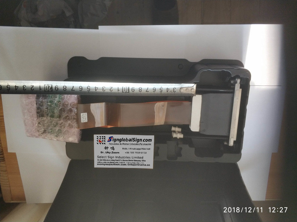 dx5 mimaki